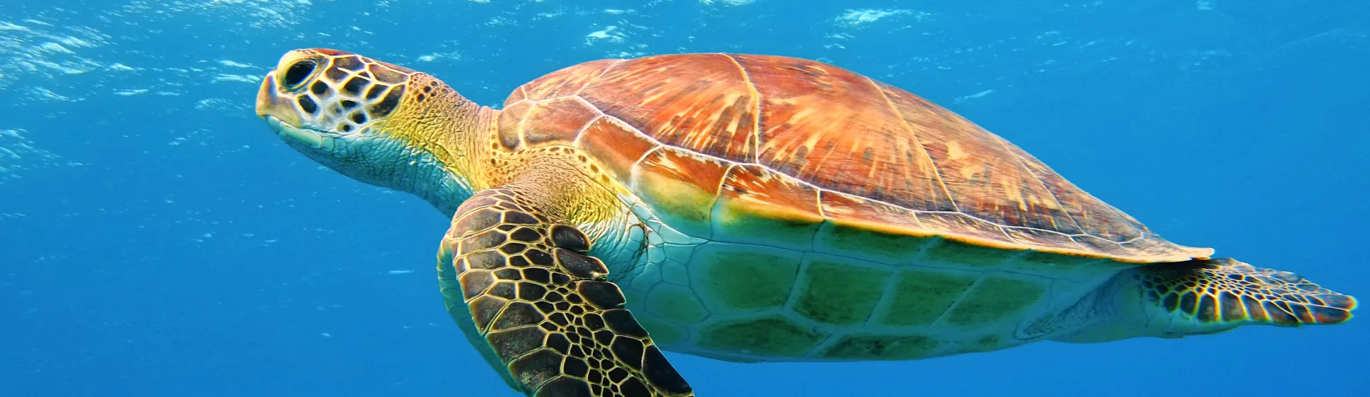 Belize